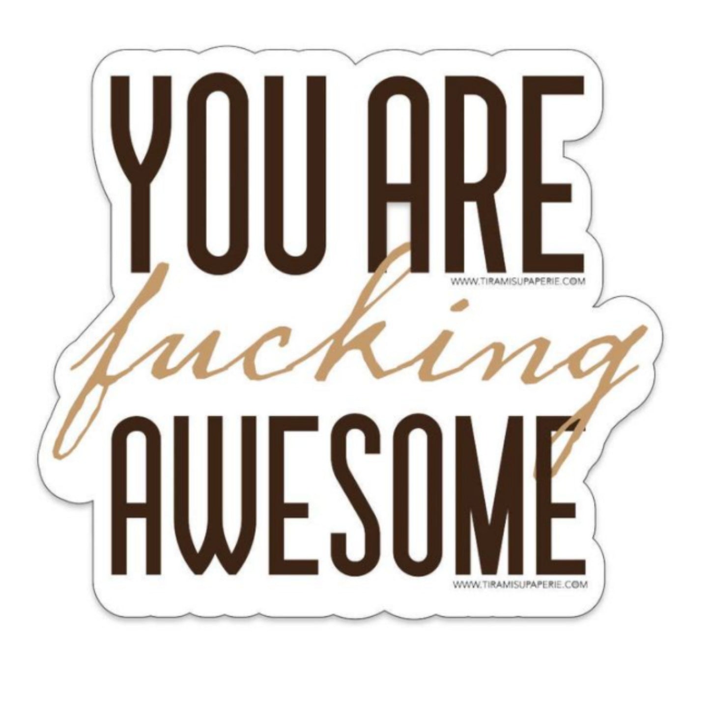 You're Fucking Awesome Sticker - Salty Box Co.